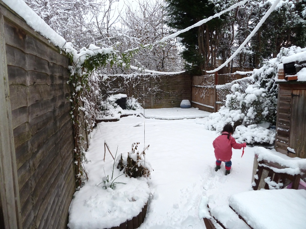 South Tottenham Lawn Watch - snow